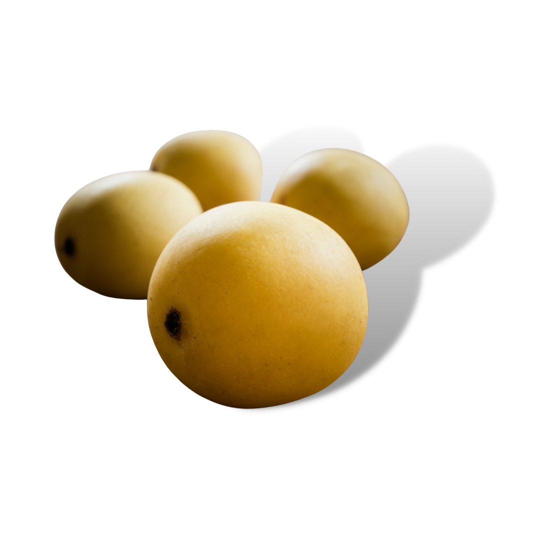 Marula Core What is Marula Oil Benefits for your Skin – K Sahai