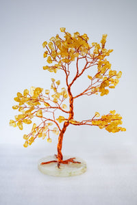 Feng Shui Abundance Tree - K Sahai