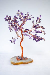 Feng Shui Healing Tree - K Sahai